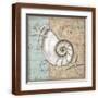 Brown Frame