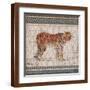 Brown Frame