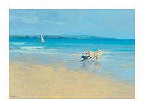 Playing by the Sea-Paul Brown-Framed Giclee Print