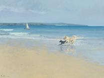 Playing by the Sea-Paul Brown-Giclee Print