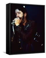 Paul Butterfield-null-Framed Stretched Canvas