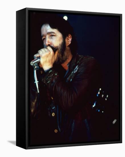 Paul Butterfield-null-Framed Stretched Canvas