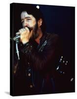 Paul Butterfield-null-Stretched Canvas