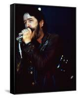 Paul Butterfield-null-Framed Stretched Canvas