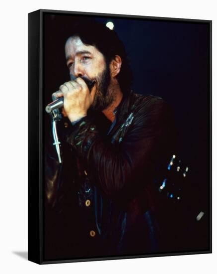 Paul Butterfield-null-Framed Stretched Canvas