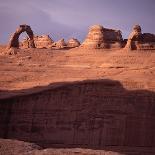 Delicate Arch, Arches National Park, Utah, USA-Paul C. Pet-Stretched Canvas