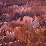 Sunrise Point, Bryce Canyon, Utah, USA-Paul C. Pet-Framed Photographic Print