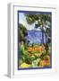 White Frame
