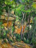 Dans le parc de Chateau-Noir (in the Park).-Paul Cezanne-Giclee Print