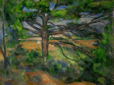 Grand Pin et Terres rouges, 1890-95 Large pine tree and red earth. Canvas, 72 x 91 cm.