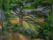 Dans le parc de Chateau-Noir (in the Park).-Paul Cezanne-Framed Giclee Print