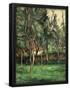 Essential Black