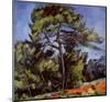 Paul Cezanne (The large pine) Art Poster Print-null-Mounted Poster