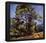 Paul Cezanne (The large pine) Art Poster Print-null-Framed Poster