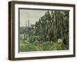 Chelsea Forest Gray