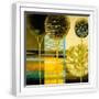 White Frame