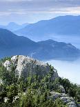 Pacific Temperate Rainforest, Stanley Park, British Columbia-Paul Colangelo-Photographic Print