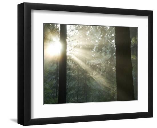 Premium Photographic Print, , large