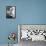 Paul Desmond (1924-1977)-Carl Van Vechten-Framed Stretched Canvas displayed on a wall