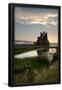 Essential Black