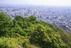 The View Out over Sapporo City from the Summit of Mt Maruyama, Hokkaido, Japan-Paul Dymond-Photographic Print