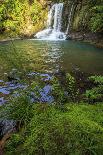 The Waiau Falls on the Coromandel Peninsula of the North Island of New Zealand-Paul Dymond-Photographic Print