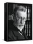 Paul Ehrlich (1854-191), German Bacteriologist-null-Framed Stretched Canvas