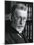 Paul Ehrlich (1854-191), German Bacteriologist-null-Mounted Photographic Print