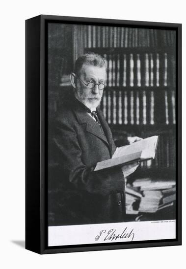 Paul Ehrlich Discovered Chemical Treatments to Destroy Humans Pathogens, Ca. 1900-null-Framed Stretched Canvas