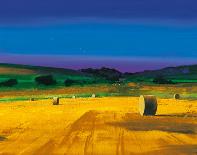 The Red Field-Paul Evans-Giclee Print