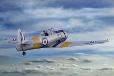 T6 Harvard Airplane-paul fleet-Photographic Print