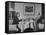 Paul G. Hoffman Having Lunch with William L. Clayton-Thomas D^ Mcavoy-Framed Stretched Canvas