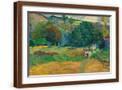 Brown Frame