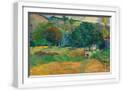 White Frame