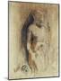 Wood Mount