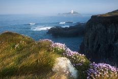 Old Tin Mine Workings, Botallack, Pendeen,Cornwall, England-Paul Harris-Photographic Print