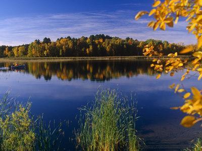 Minnesota, Lake Winnibigoshish, Chippewa National Forest, Northern Minnesota, USA