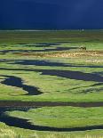 Steppeland, A Lone Horse Herder Out on the Steppeland, Mongolia-Paul Harris-Photographic Print