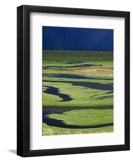 Premium Photographic Print, , large