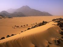 Tenere Desert, Camel Caravan Travelling Through the Air Mountains and Tenere Desert, Niger-Paul Harris-Photographic Print