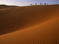 Tenere Desert, Camel Caravan Travelling Through the Air Mountains and Tenere Desert, Niger-Paul Harris-Photographic Print