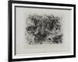 Gramercy Black