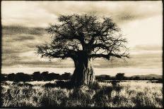 Silhouette of Maasai Warrior, Ngorongoro Crater, Tanzania-Paul Joynson Hicks-Photographic Print