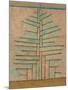 Wood Mount