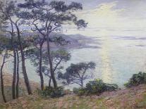 Pine Trees at the Seashore-Paul Madeline-Framed Stretched Canvas