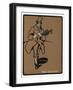 Paul Martinetti, American Music Hall Star, Late 19th Century-null-Framed Giclee Print