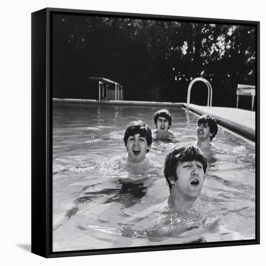 Paul McCartney, George Harrison, John Lennon and Ringo Starr Taking a Dip in a Swimming Pool-John Loengard-Framed Stretched Canvas