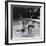 Paul McCartney, George Harrison, John Lennon and Ringo Starr Taking a Dip in a Swimming Pool-John Loengard-Framed Premium Photographic Print