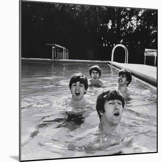 Paul McCartney, George Harrison, John Lennon and Ringo Starr Taking a Dip in a Swimming Pool-John Loengard-Mounted Premium Photographic Print