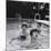 Paul McCartney, George Harrison, John Lennon and Ringo Starr Taking a Dip in a Swimming Pool-John Loengard-Mounted Premium Photographic Print